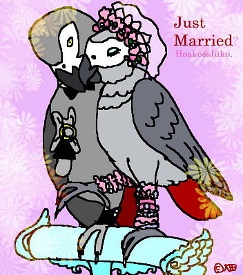 Just marriedH