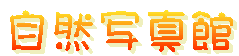 Rʐ^